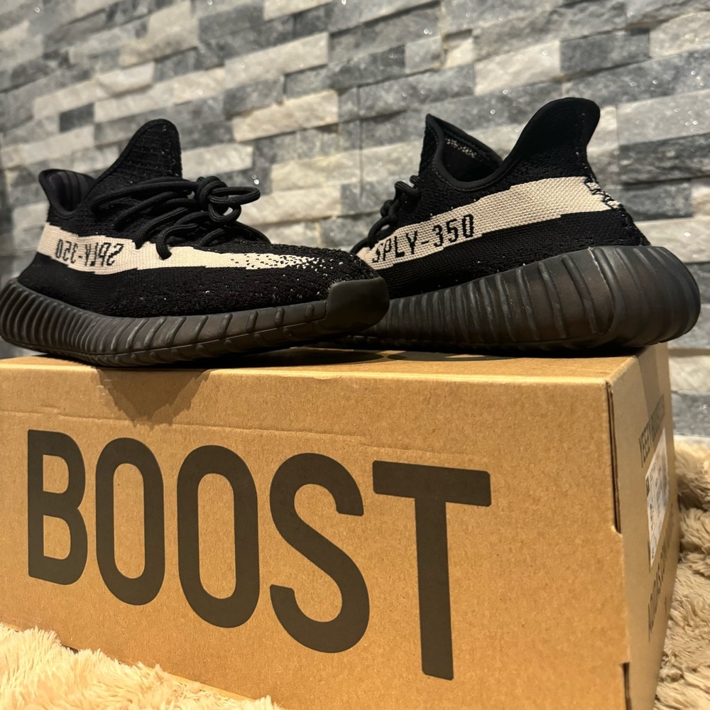9.5 Yeezy Boost 350 V2